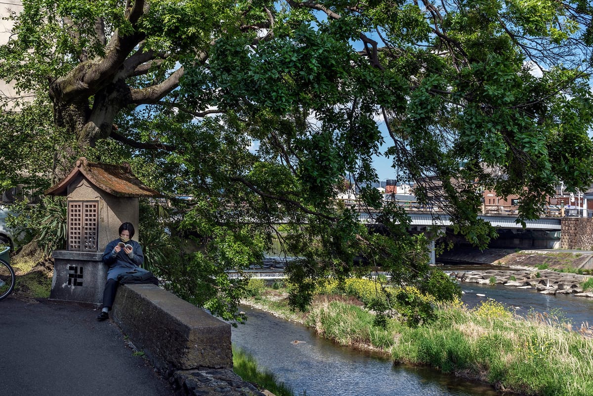 Hotter Summers and Climate Change: Why Japan's Cities Need More Trees