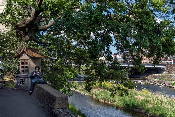 Hotter Summers and Climate Change: Why Japan's Cities Need More Trees